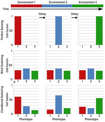 Noise, Information and Fitness in Changing Environments